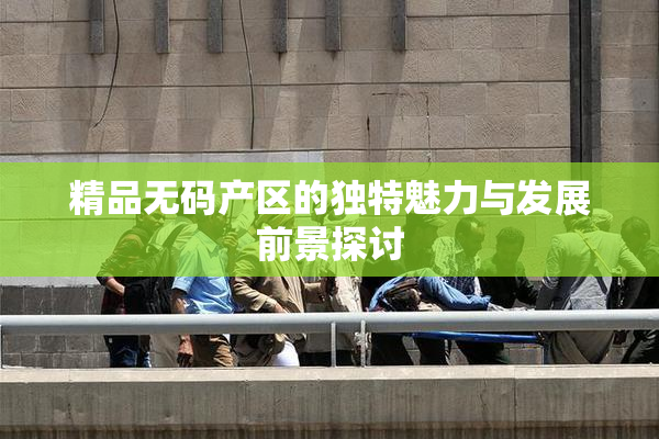 精品无码产区的独特魅力与发展前景探讨