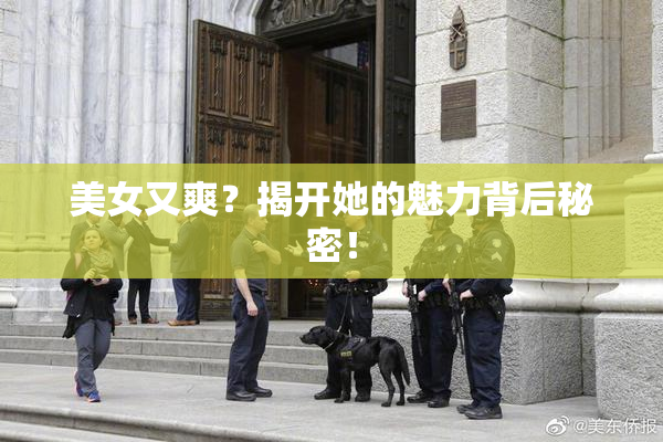 美女又爽？揭开她的魅力背后秘密！