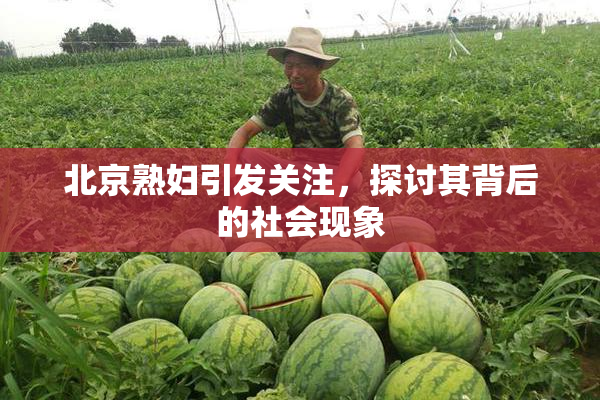 北京熟妇引发关注，探讨其背后的社会现象