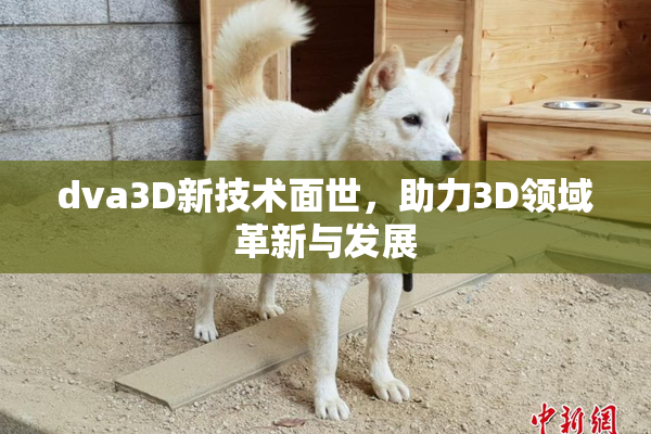 dva3D新技术面世，助力3D领域革新与发展