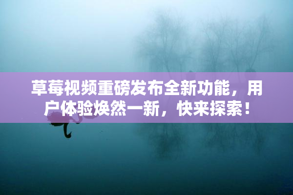 草莓视频重磅发布全新功能，用户体验焕然一新，快来探索！