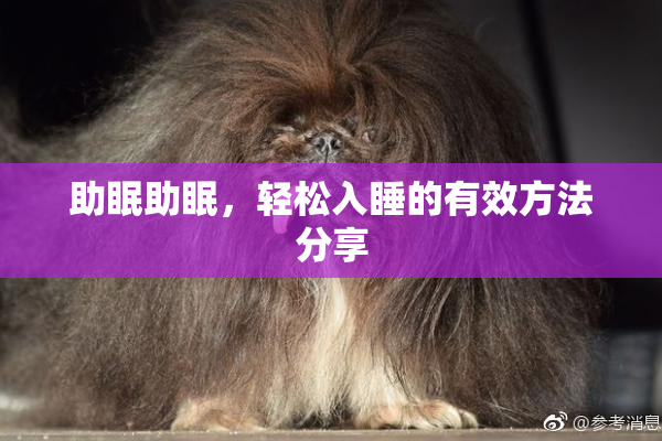 助眠助眠，轻松入睡的有效方法分享