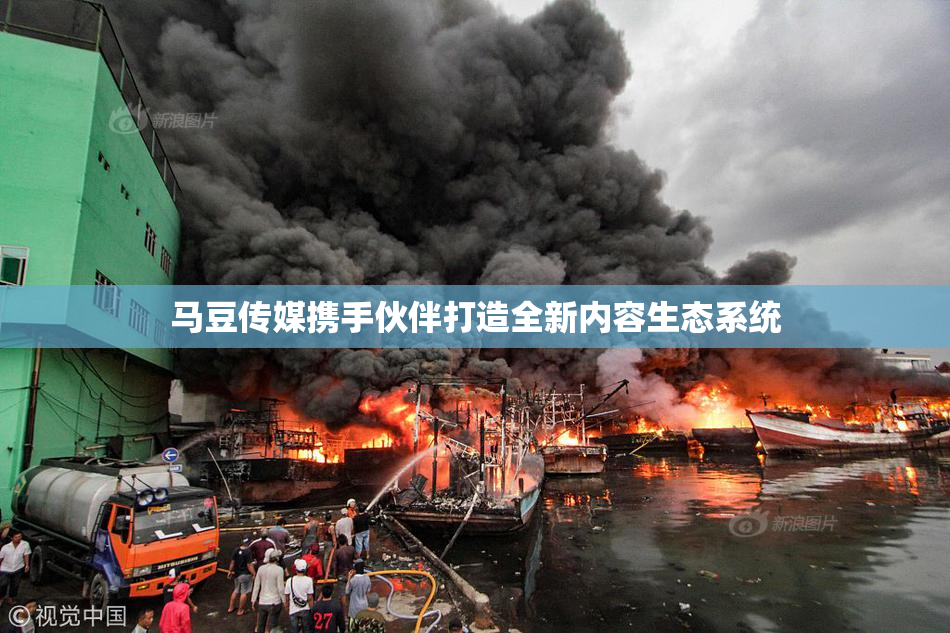 马豆传媒携手伙伴打造全新内容生态系统