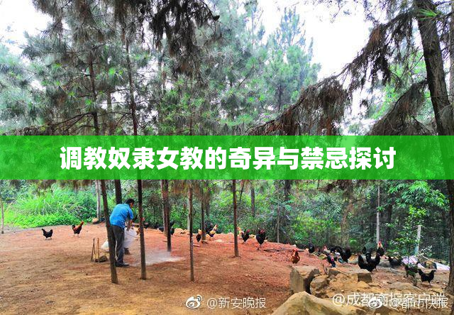 调教奴隶女教的奇异与禁忌探讨