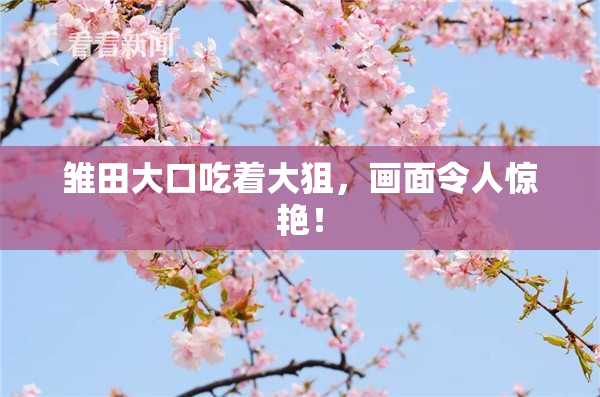 雏田大口吃着大狙，画面令人惊艳！
