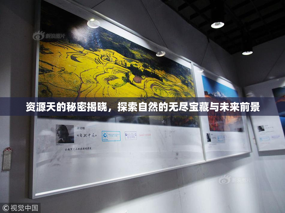资源天的秘密揭晓，探索自然的无尽宝藏与未来前景