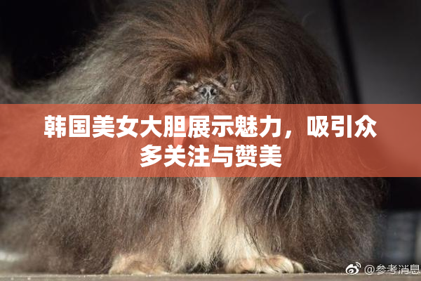 韩国美女大胆展示魅力，吸引众多关注与赞美