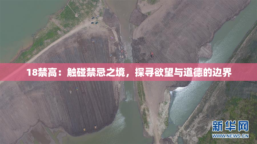 18禁高：触碰禁忌之境，探寻欲望与道德的边界