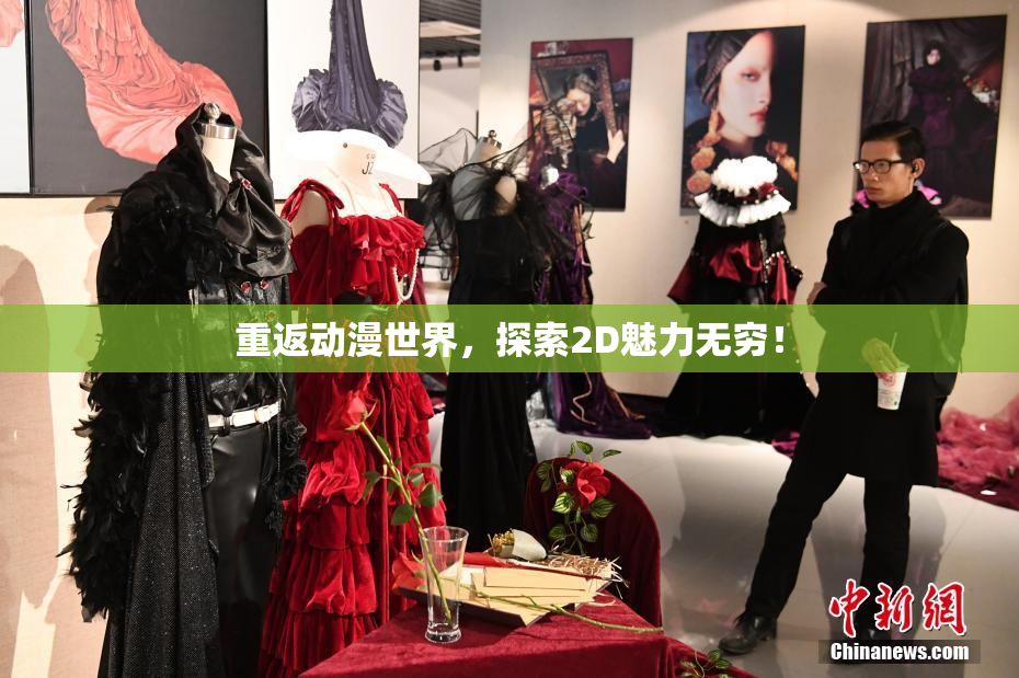 重返动漫世界，探索2D魅力无穷！