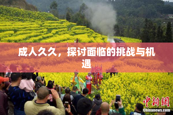 成人久久，探讨面临的挑战与机遇