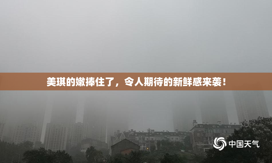 美琪的嫩捧住了，令人期待的新鲜感来袭！