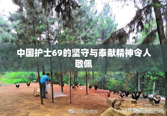 中国护士69的坚守与奉献精神令人敬佩