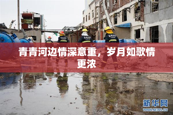 青青河边情深意重，岁月如歌情更浓