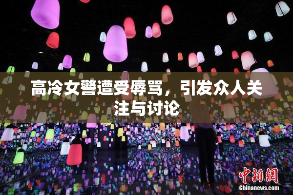 高冷女警遭受辱骂，引发众人关注与讨论