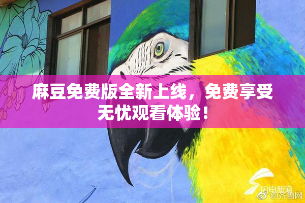 麻豆免费版全新上线，免费享受无忧观看体验！