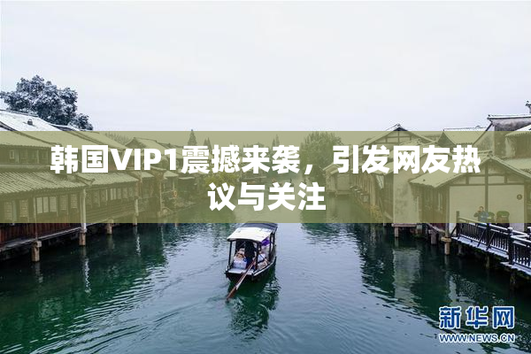 韩国VIP1震撼来袭，引发网友热议与关注
