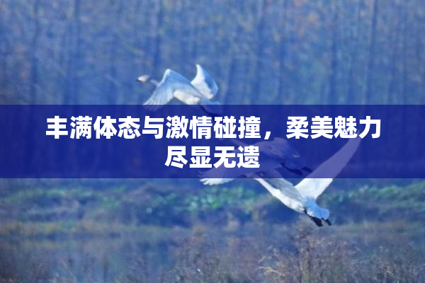 丰满体态与激情碰撞，柔美魅力尽显无遗