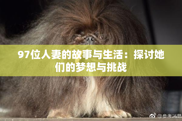 97位人妻的故事与生活：探讨她们的梦想与挑战