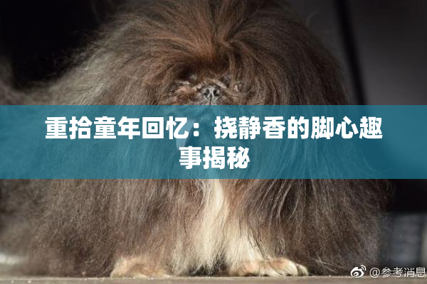 重拾童年回忆：挠静香的脚心趣事揭秘