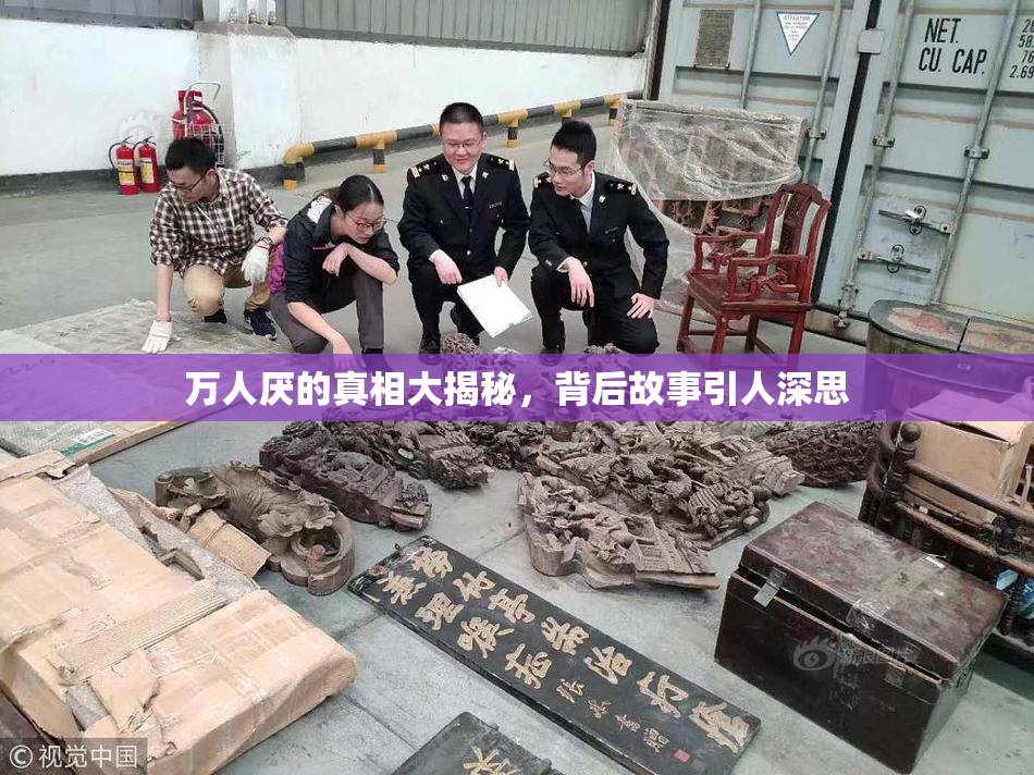 万人厌的真相大揭秘，背后故事引人深思