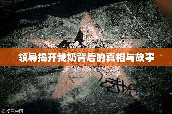 领导揭开我奶背后的真相与故事