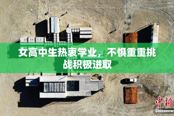 女高中生热衷学业，不惧重重挑战积极进取