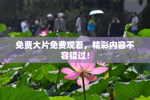 免费大片免费观看，精彩内容不容错过！