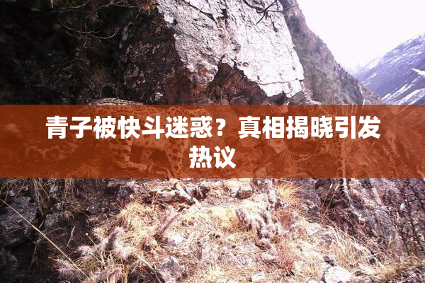 青子被快斗迷惑？真相揭晓引发热议