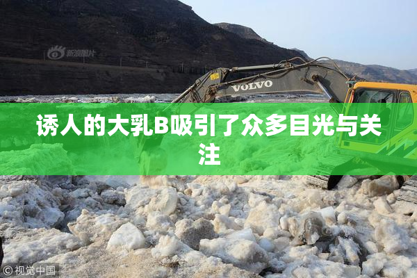 诱人的大乳B吸引了众多目光与关注
