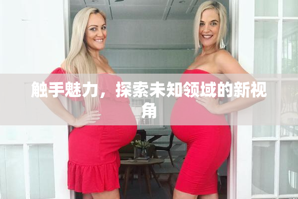触手魅力，探索未知领域的新视角