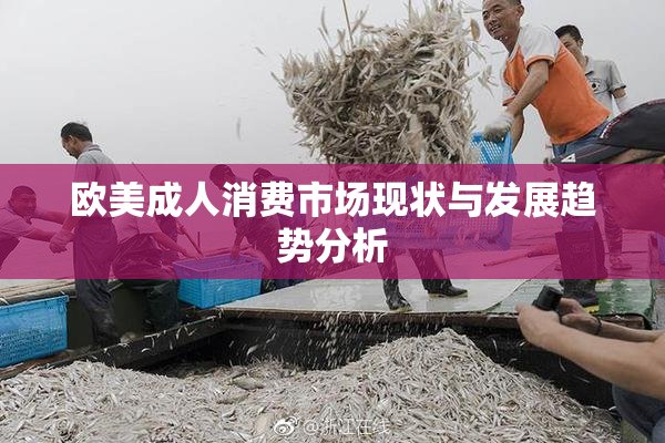 欧美成人消费市场现状与发展趋势分析