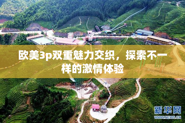 欧美3p双重魅力交织，探索不一样的激情体验