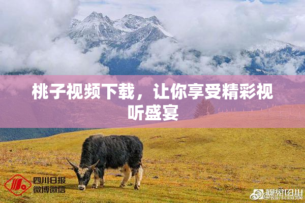 桃子视频下载，让你享受精彩视听盛宴