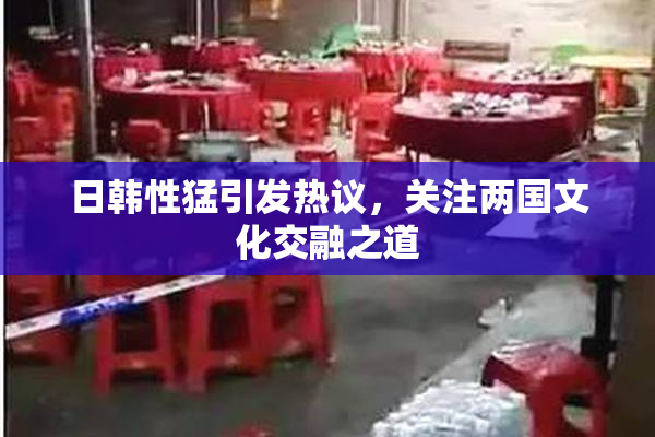 日韩性猛引发热议，关注两国文化交融之道