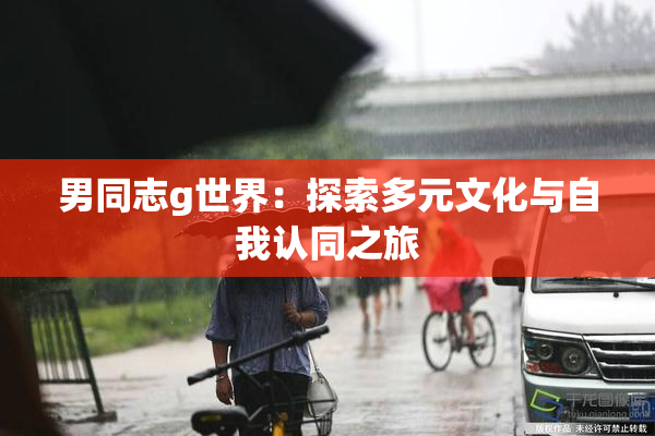 男同志g世界：探索多元文化与自我认同之旅
