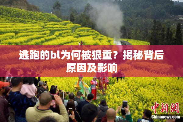 逃跑的bl为何被狠重？揭秘背后原因及影响