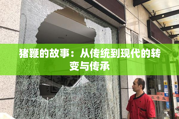猪鞭的故事：从传统到现代的转变与传承