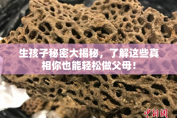 生孩子秘密大揭秘，了解这些真相你也能轻松做父母！