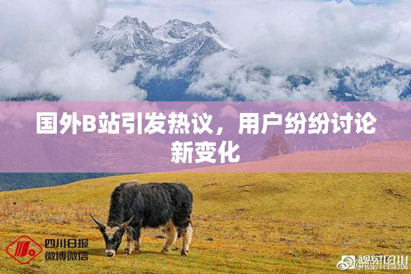 国外B站引发热议，用户纷纷讨论新变化