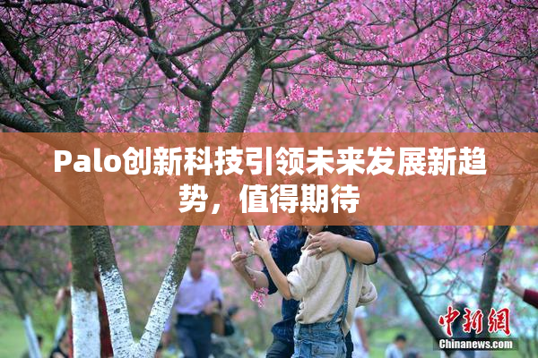 Palo创新科技引领未来发展新趋势，值得期待