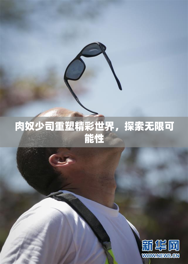 肉奴少司重塑精彩世界，探索无限可能性