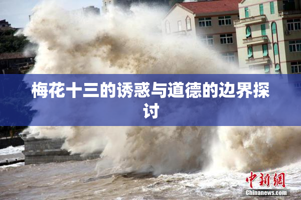 梅花十三的诱惑与道德的边界探讨