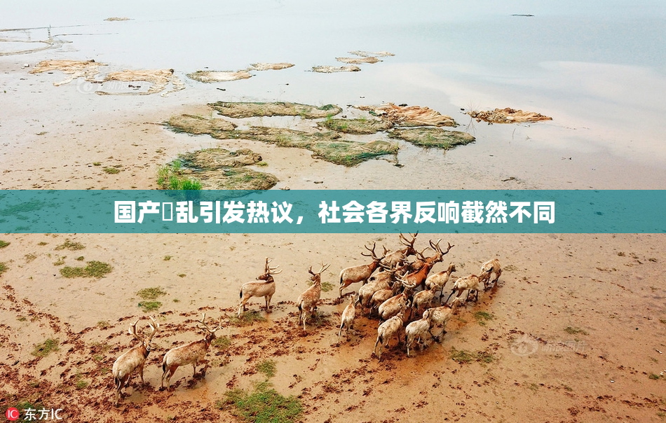 国产婬乱引发热议，社会各界反响截然不同