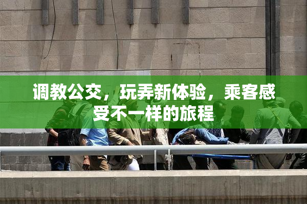 调教公交，玩弄新体验，乘客感受不一样的旅程