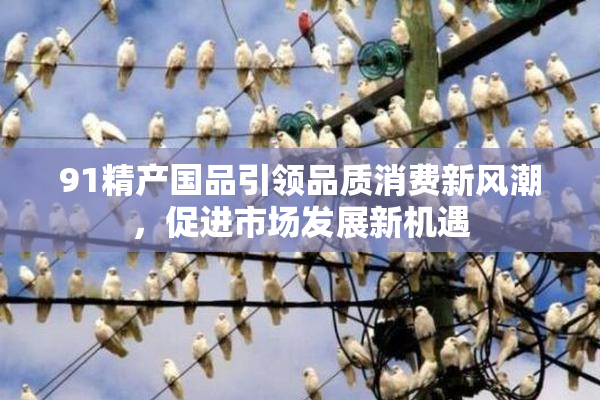 91精产国品引领品质消费新风潮，促进市场发展新机遇
