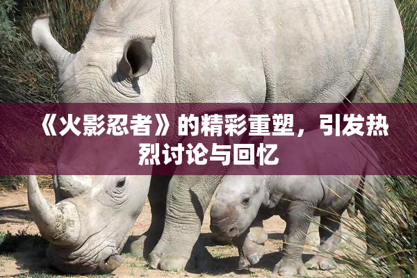《火影忍者》的精彩重塑，引发热烈讨论与回忆