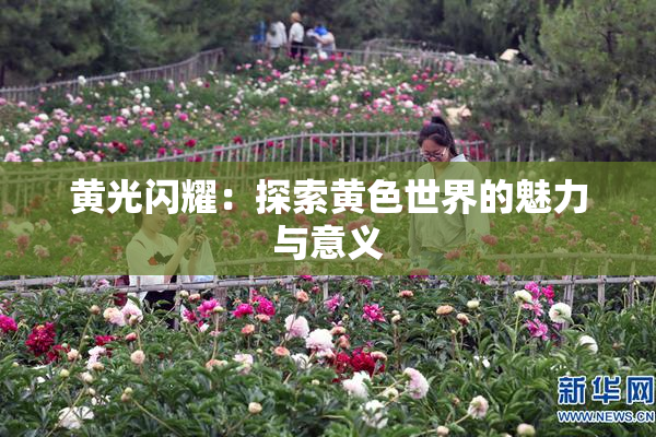 黄光闪耀：探索黄色世界的魅力与意义