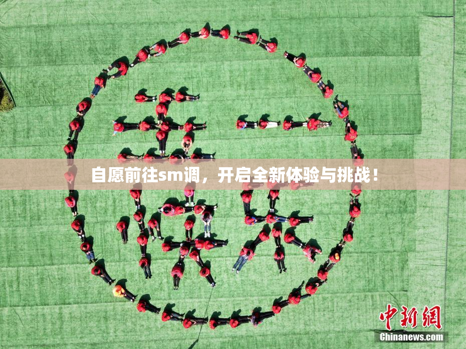 自愿前往sm调，开启全新体验与挑战！