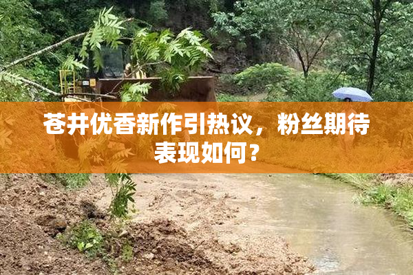 苍井优香新作引热议，粉丝期待表现如何？