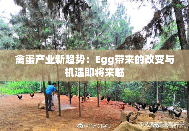禽蛋产业新趋势：Egg带来的改变与机遇即将来临